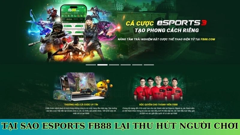 Tại sao Esports Fb88 lại thu hút người chơi Tại sao Esports Fb88 lại thu hút người chơi
